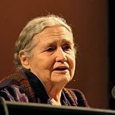Illustration from “The Passing of Doris Lessing”