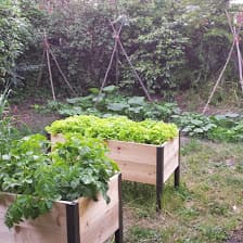 Illustration from “How Does Your Garden Grow?”