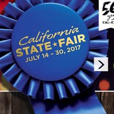 Illustration from “Speaking at the California State Fair This Summer”