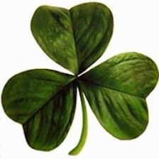 Illustration from “Erin Go Bragh!!!”